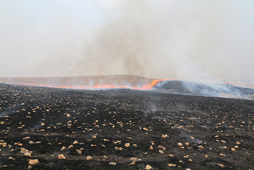 Flint Hills Burning Schedule 2022 Kansas Flint Hills Smoke Management